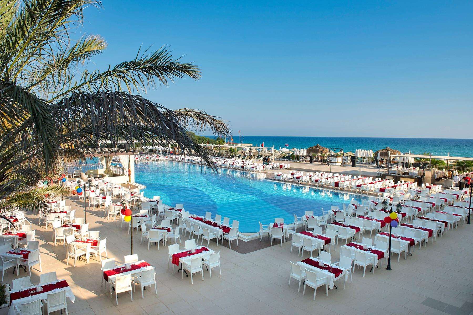 Pokaż wszystkie zdjęcia