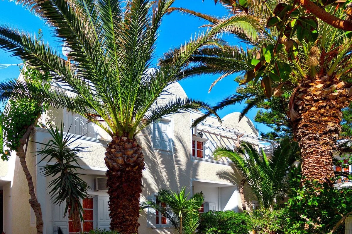 DOLPHINS APARTMENTS SANTORINI 4