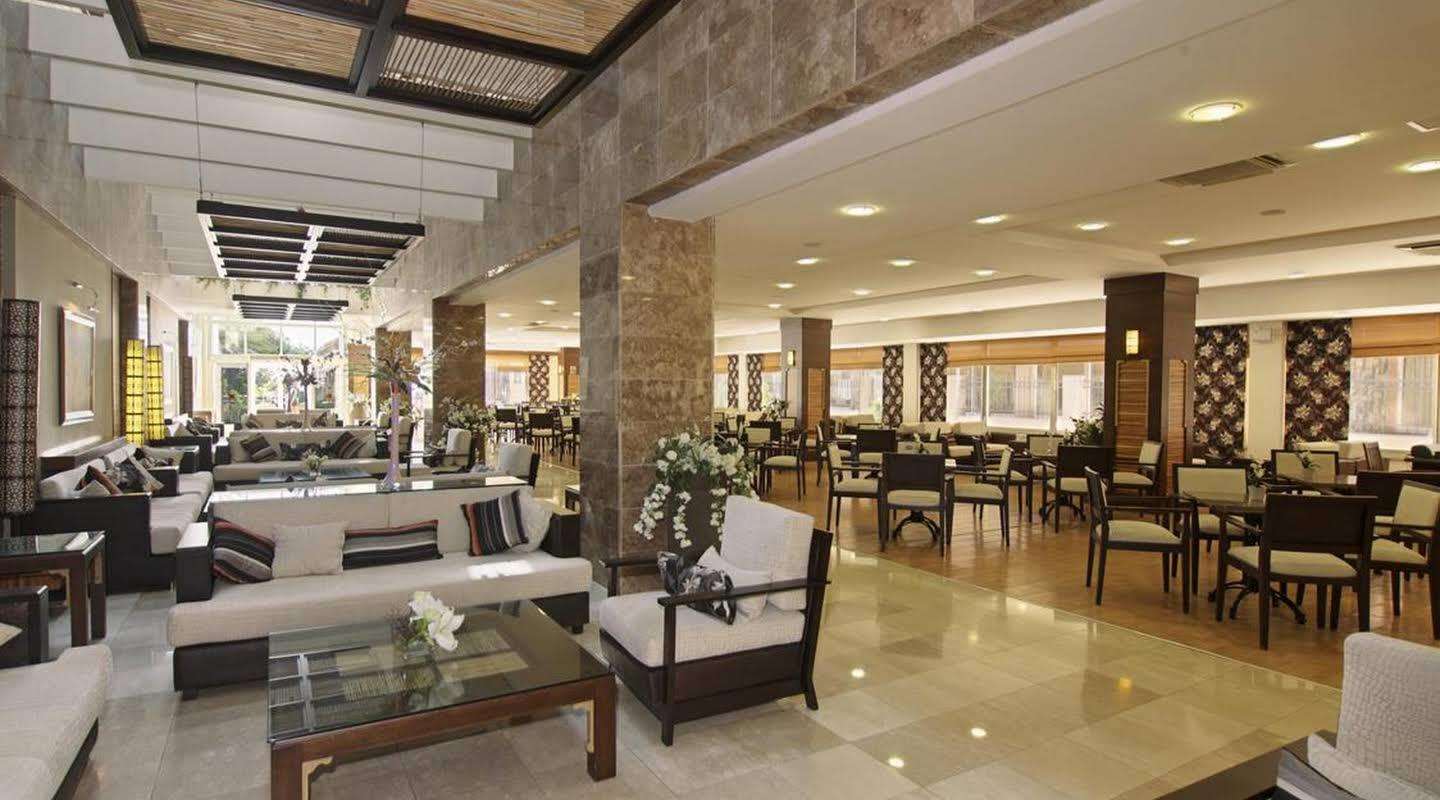 Pokaż wszystkie zdjęcia