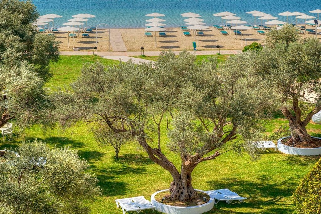 PALMARIVA BEACH HOTEL 4