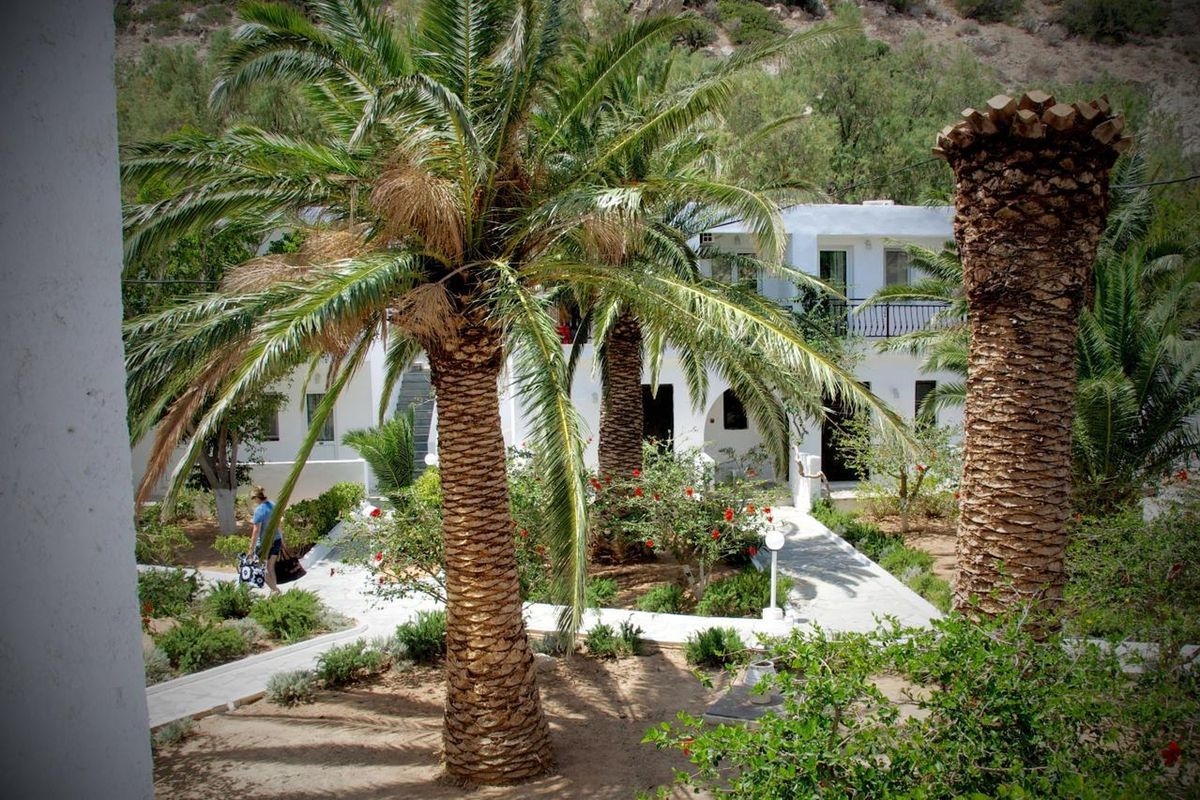 AVRA PALM 4