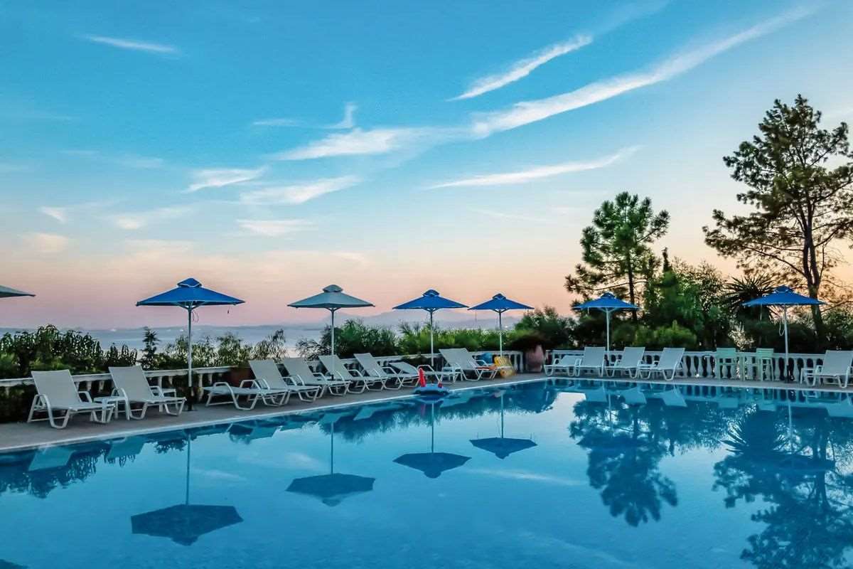 Pokaż wszystkie zdjęcia