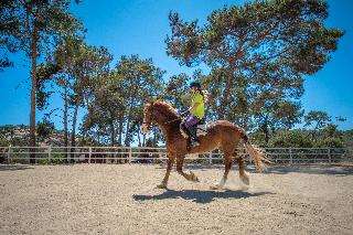 Pokaż wszystkie zdjęcia