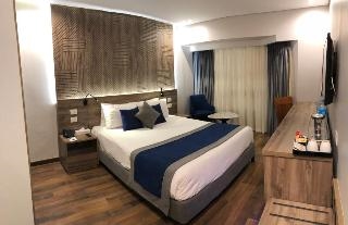 Pyramisa Suites Hotel Cairo 5