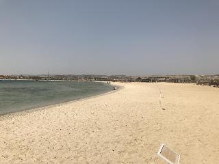 The Oasis 3