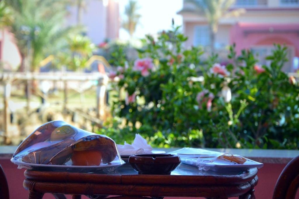 MG Alexander The Great Hotel Marsa Alam 3