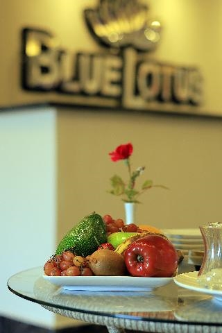 Blue Lotus Nile Suites 5