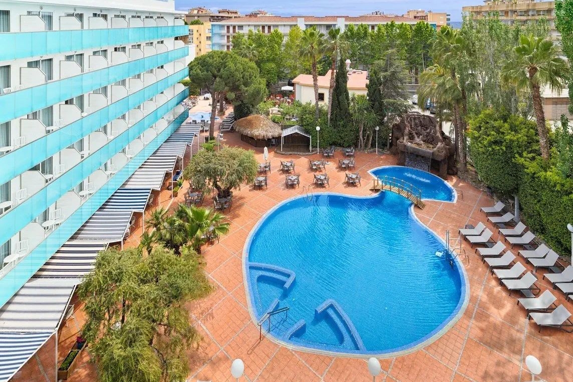 H10 Delfin Only adults 2