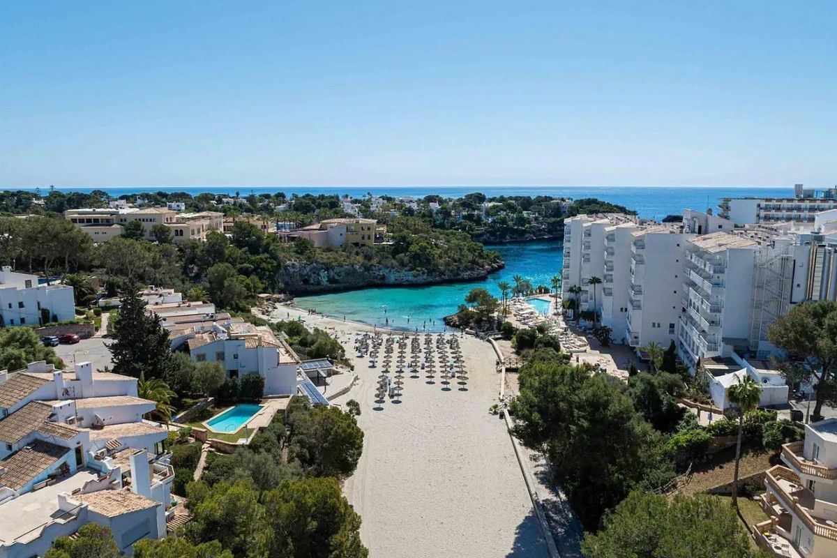 Marsenses Ferrera Blanca Adults Only 3