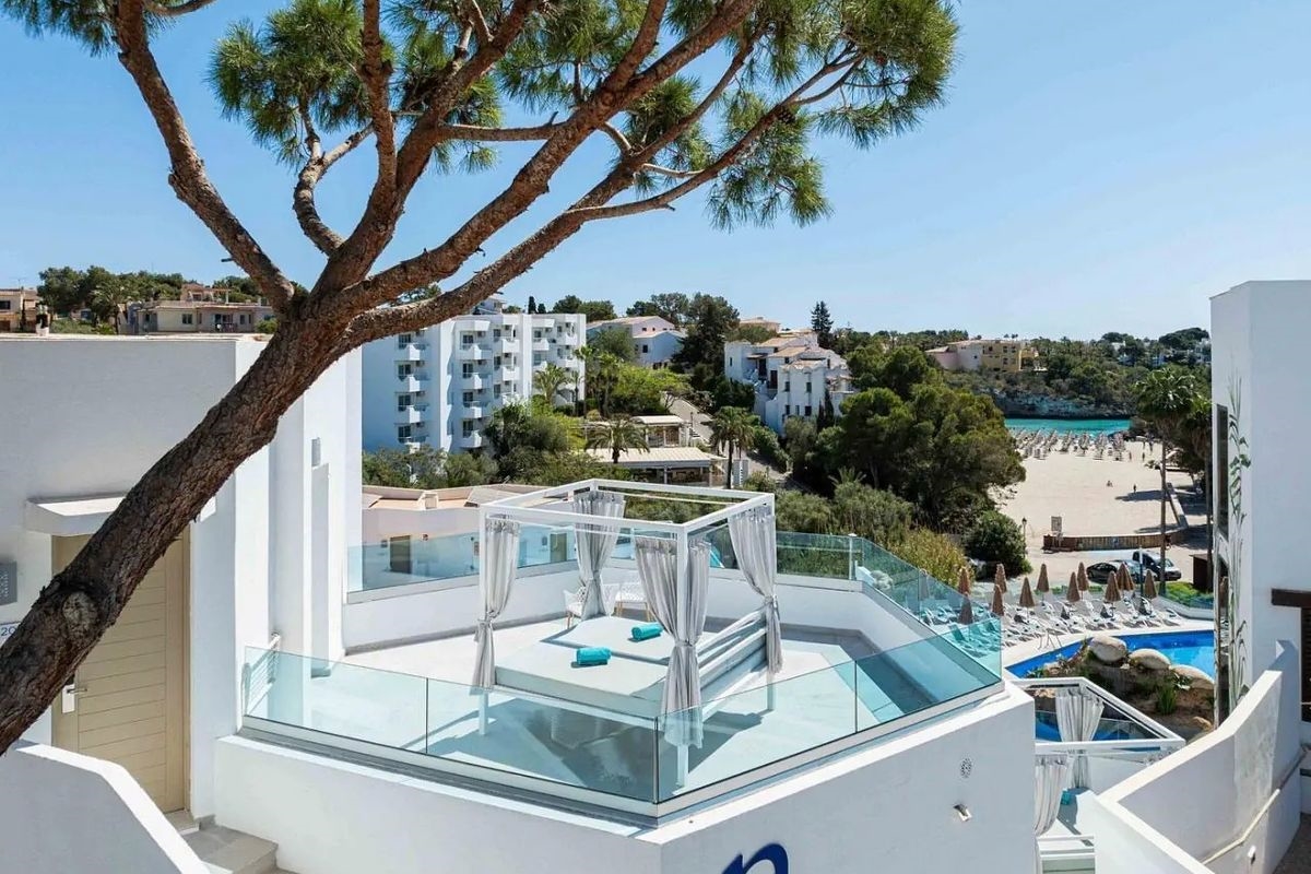 Marsenses Ferrera Blanca Adults Only 4