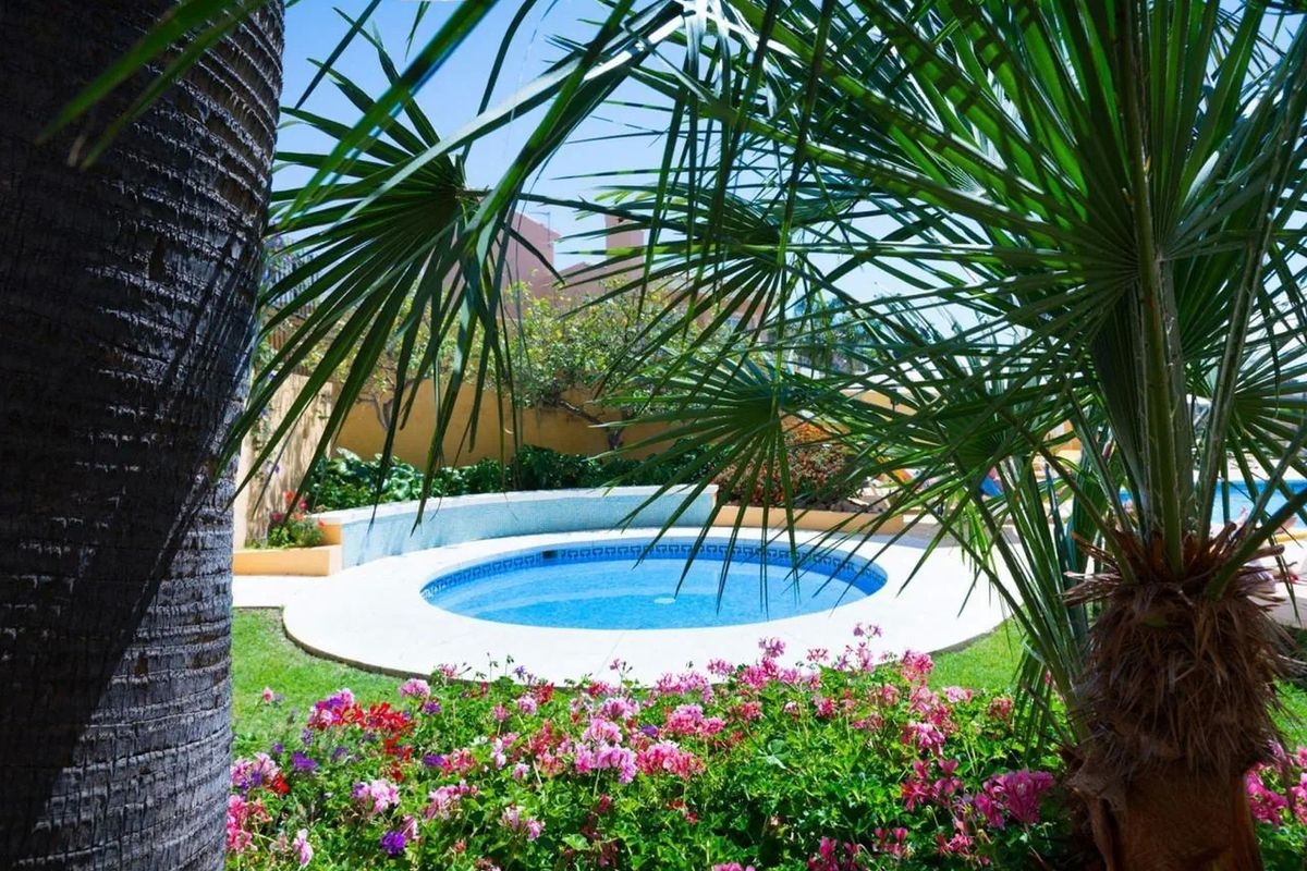 Monarque Torreblanca 2