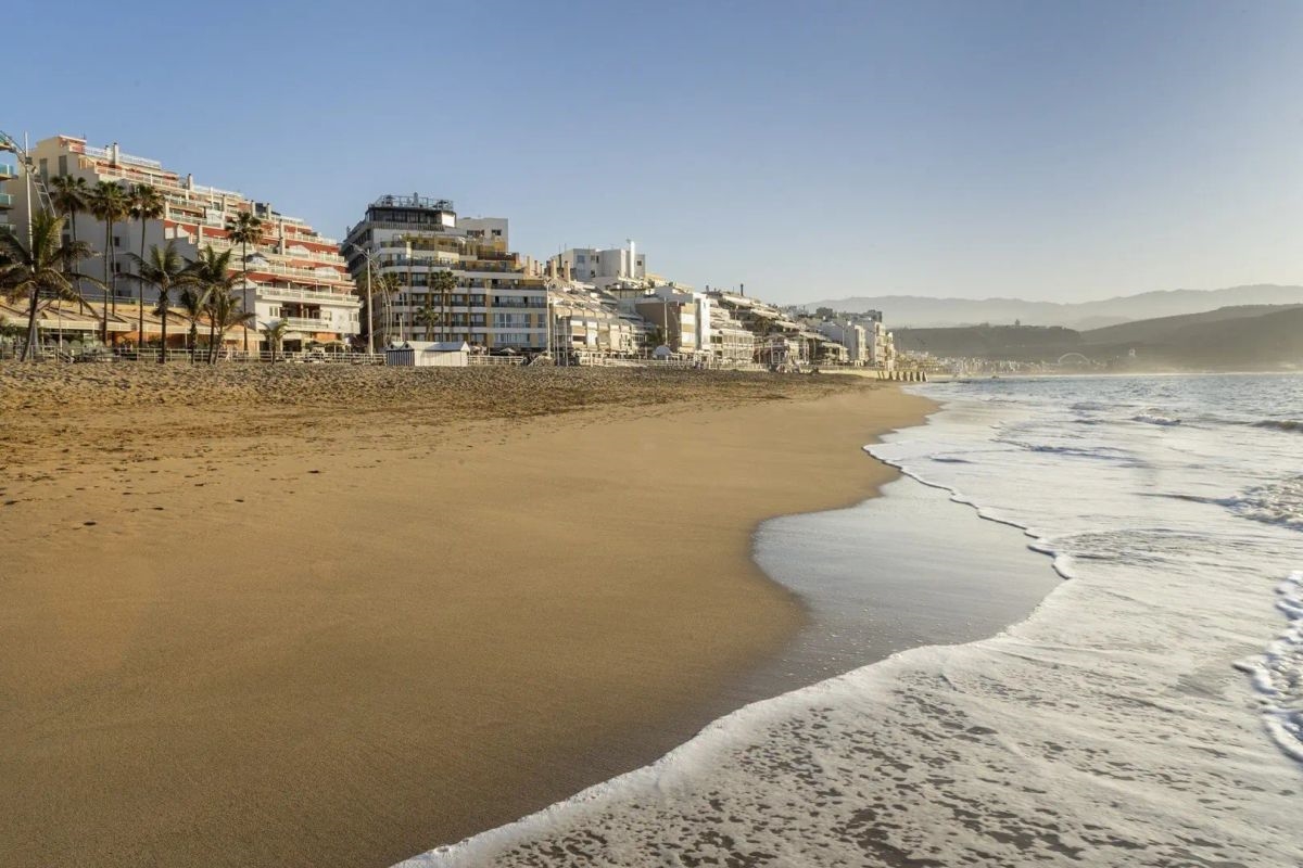 Occidental Las Canteras 4