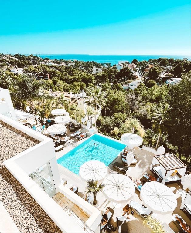 Portals Hills Mallorca 4