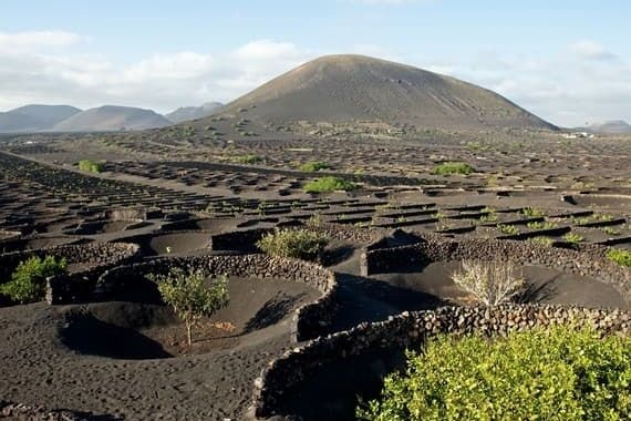 Secrets Lanzarote Resort & Spa (Adults Only) 4