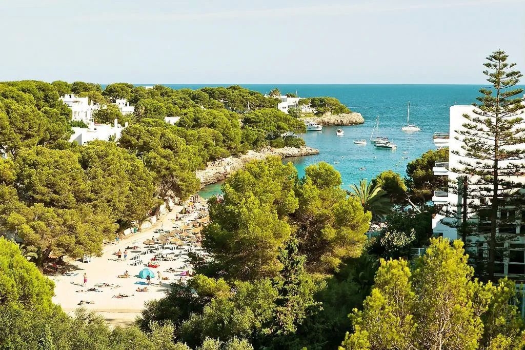 Sentido Fido Tucan - Adults Only 4