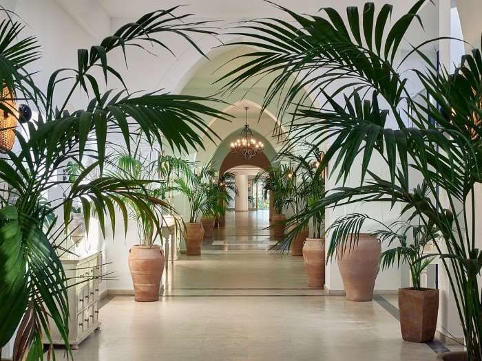 GRECOTEL CASA PARADISO 3