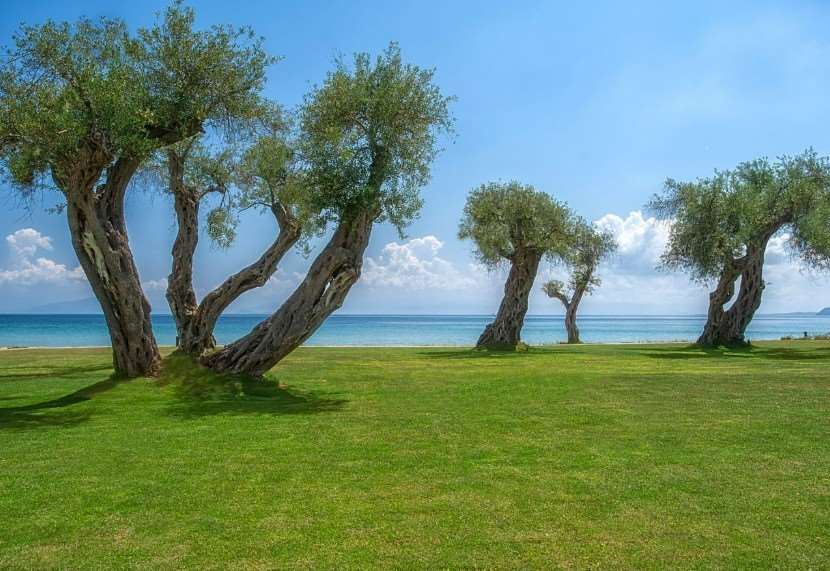 DOMES MIRAMARE, A LUXURY COLLECTION RESORT, CORFU (ADULTS ONLY) 4
