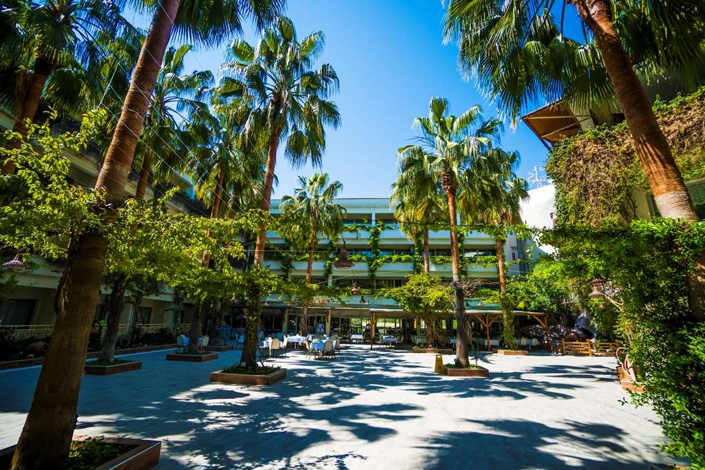 Pokaż wszystkie zdjęcia