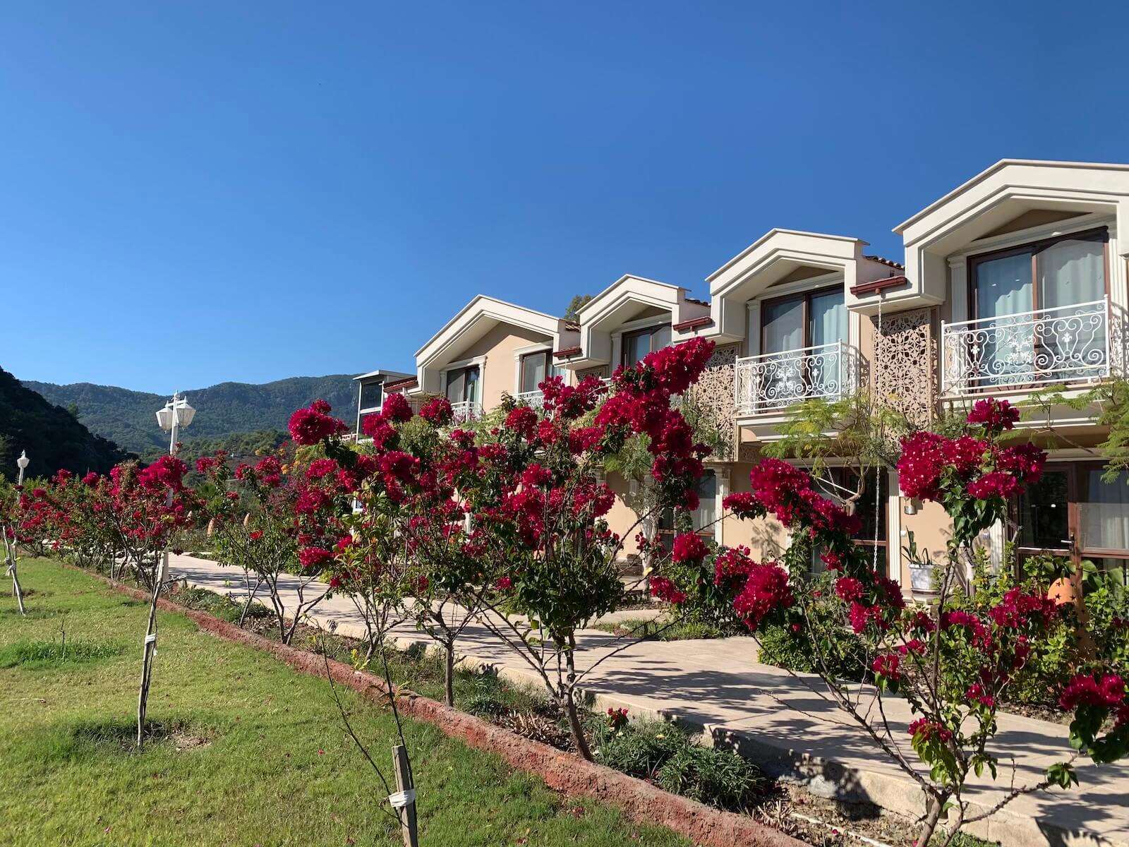 Dalyan Resort Spa 3
