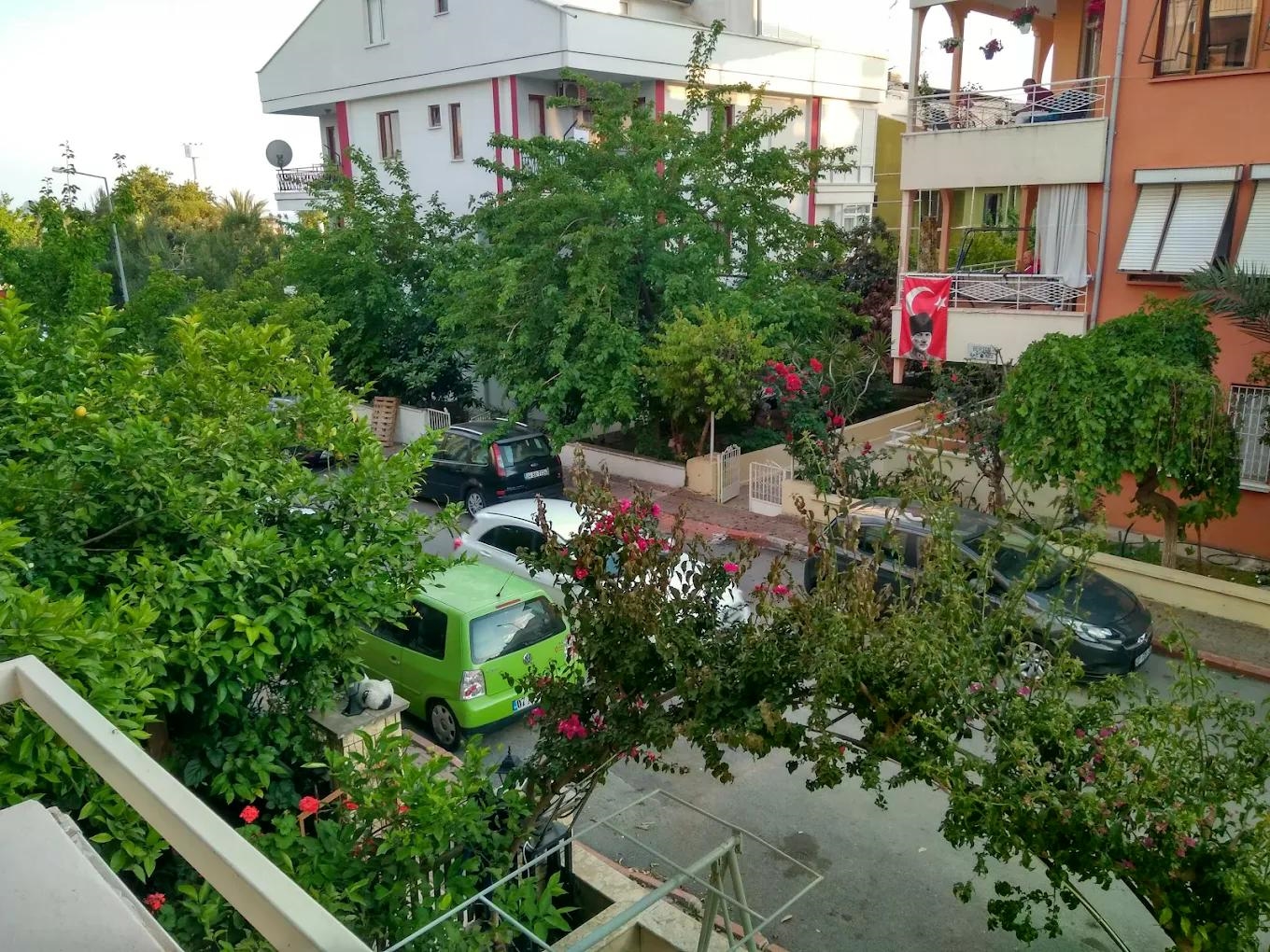 Pokaż wszystkie zdjęcia