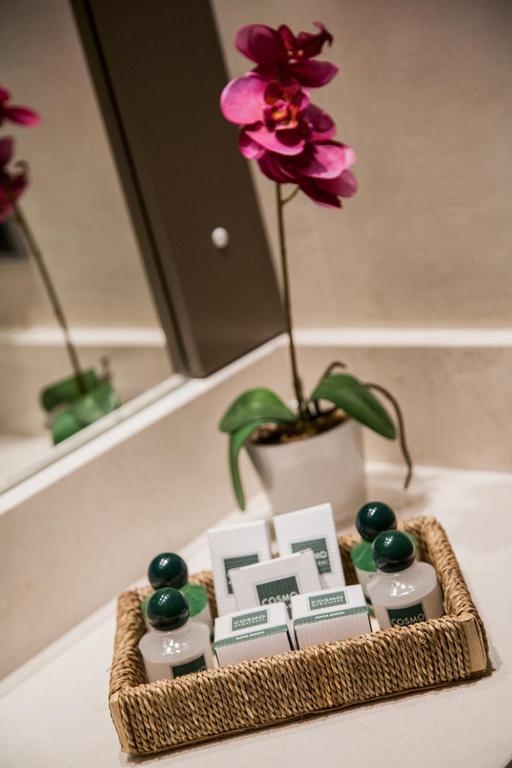 Cosmo Hotel Torri (Vimercate MI) 4