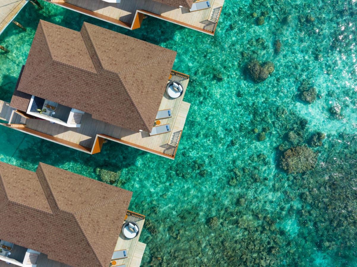 AVANI+ FARES MALDIVES RESORT 4