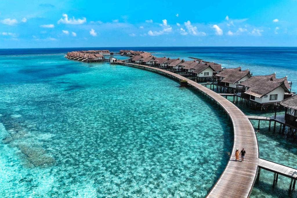 OZEN RESERVE BOLIFUSHI 2