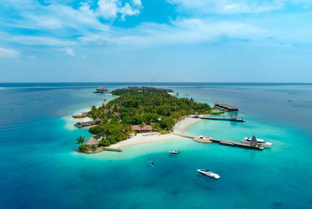 OZEN RESERVE BOLIFUSHI 3