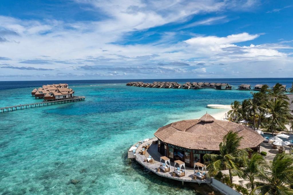 OZEN RESERVE BOLIFUSHI 4