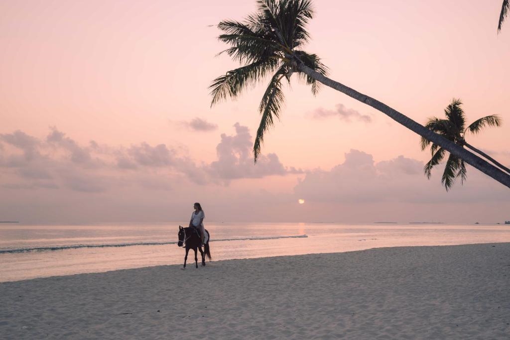 SIYAM WORLD MALDIVES 5