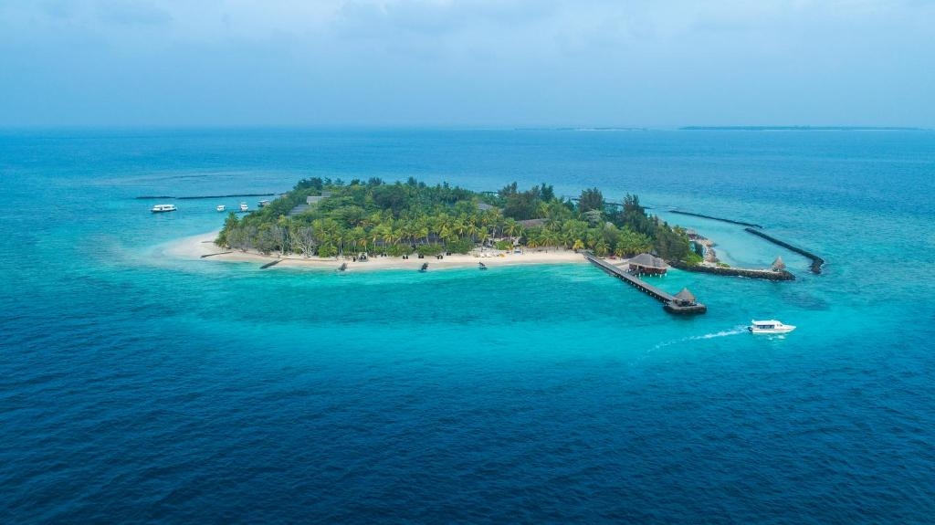 TAJ CORAL REEF RESORT & SPA 4