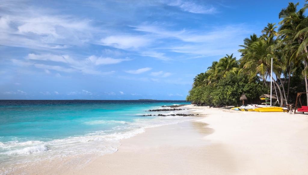 TAJ CORAL REEF RESORT & SPA 5