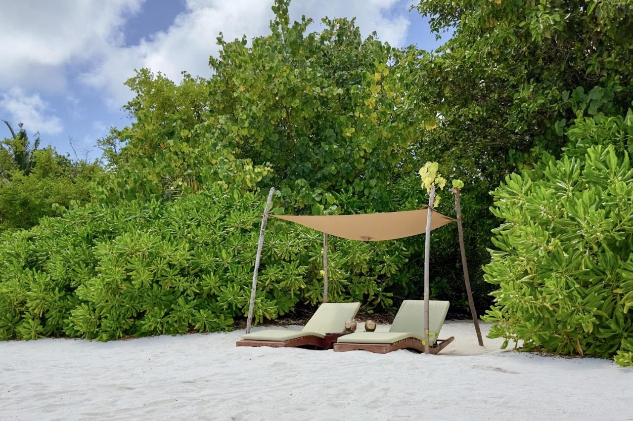COCO BODU HITHI 3