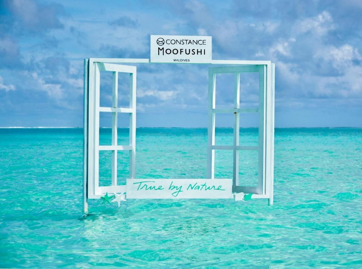 CONSTANCE MOOFUSHI 2