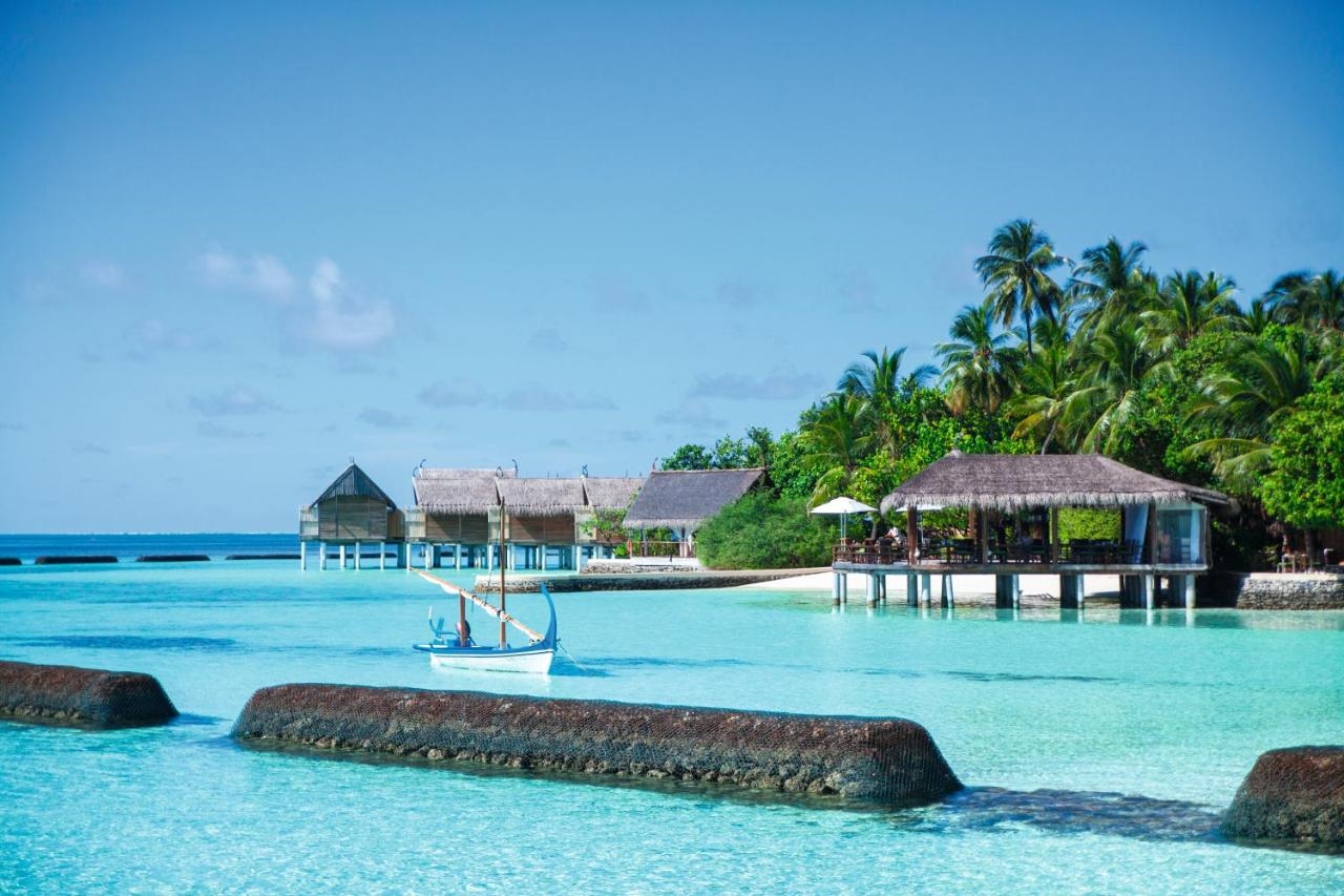 CONSTANCE MOOFUSHI 3