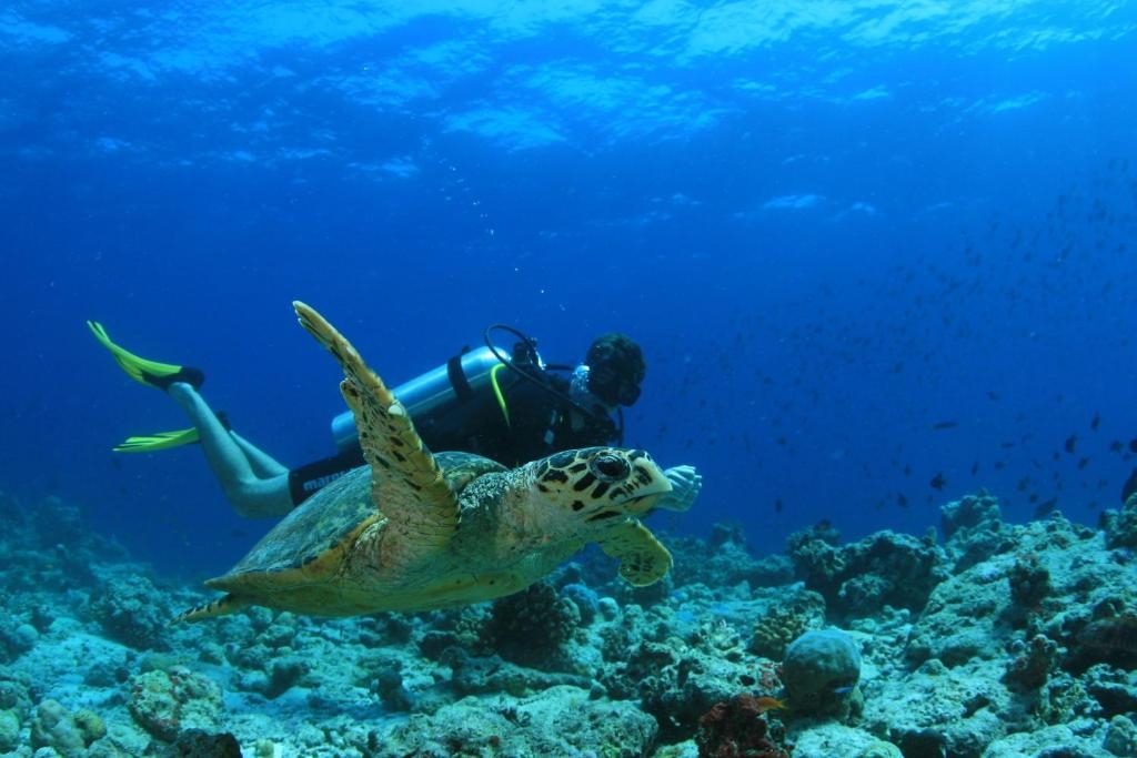 AMILLA MALDIVES RESORT AND RESIDENCES 4