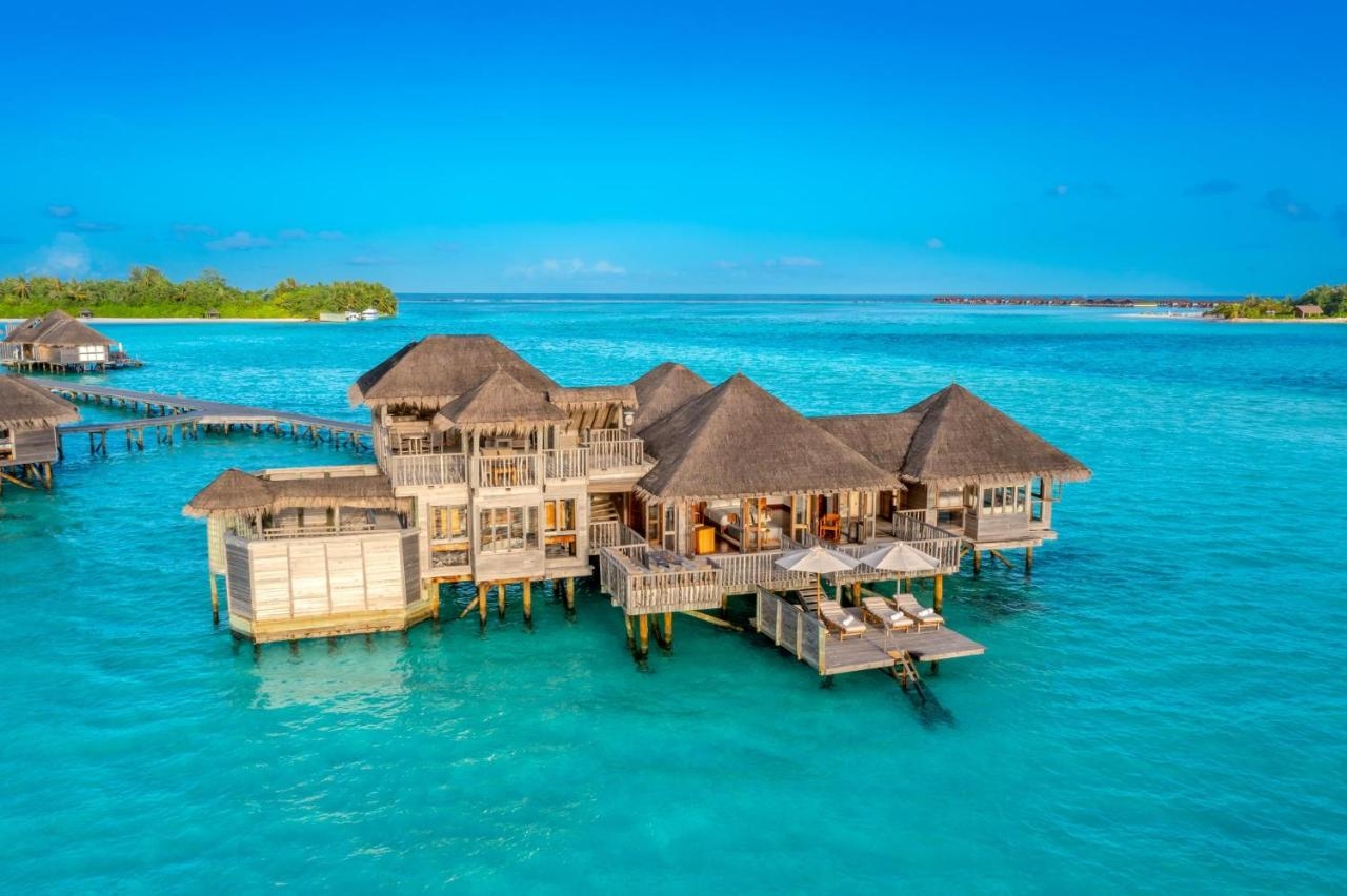 Pokaż wszystkie zdjęcia