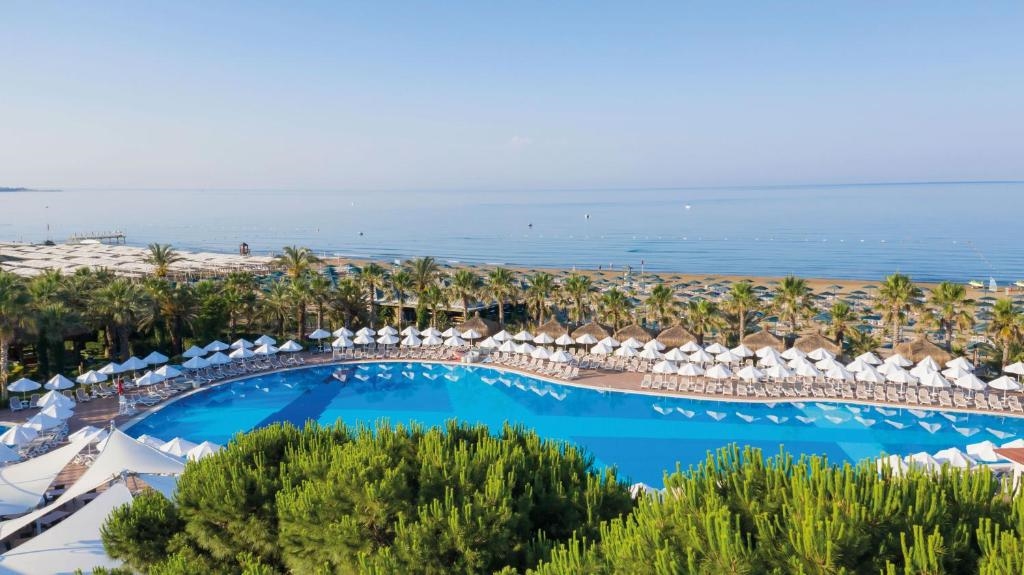 Paloma Oceana 2