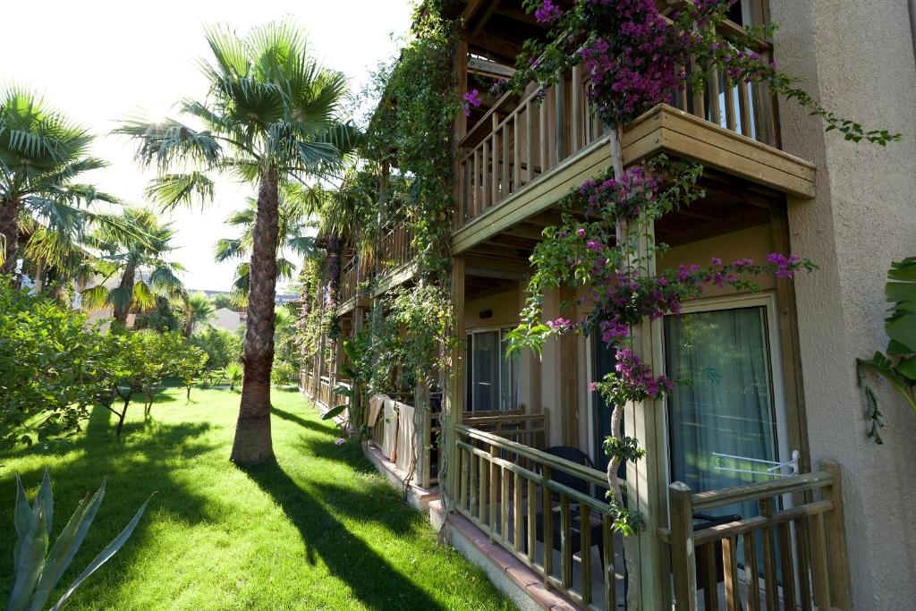 Paloma Oceana 5