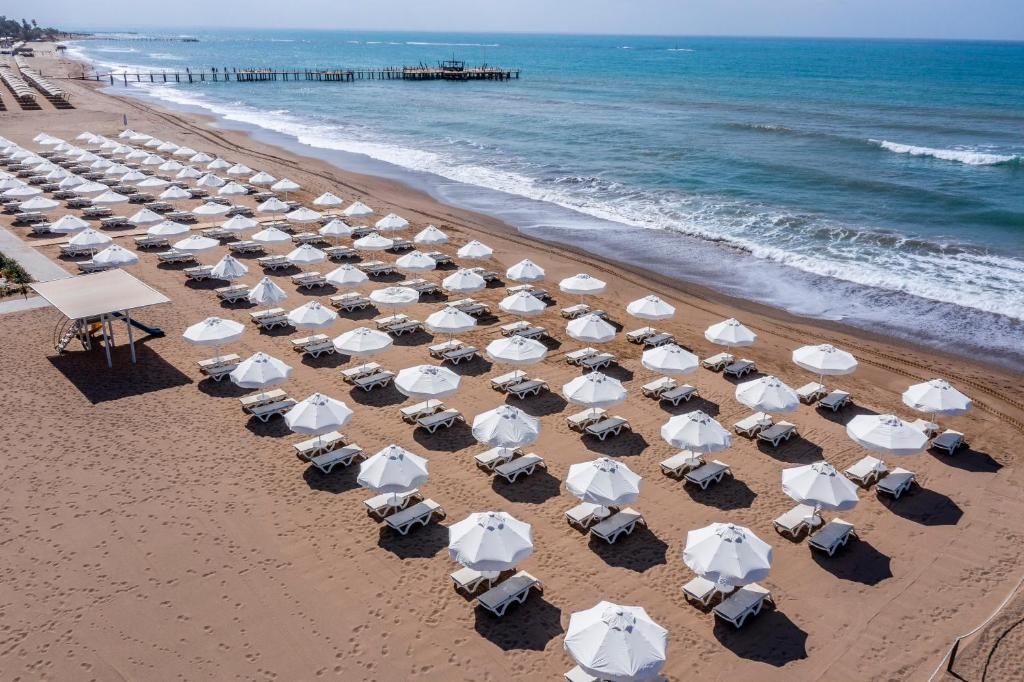 Barut Goia 5