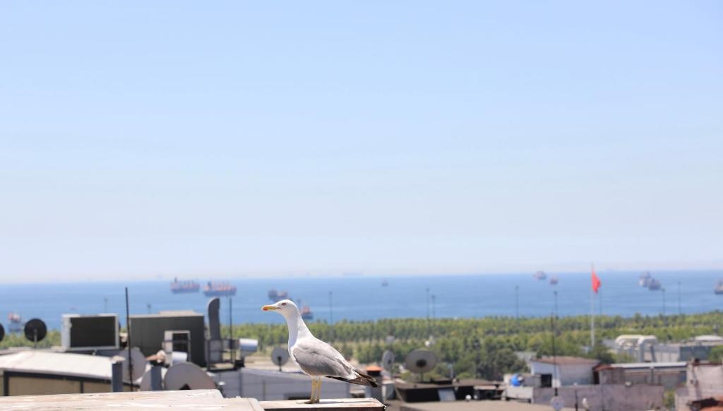 Istanbul Royal Hotel 3