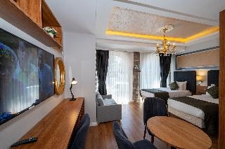 Harmony Hotel Istanbul & SPA 5