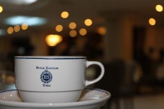 Buyuk Sahinler Hotel 2