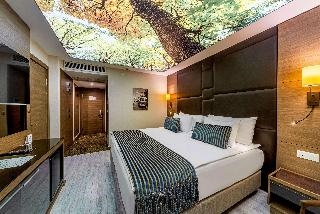 Tryp By Wyndham Istanbul Sisli Hotel 2