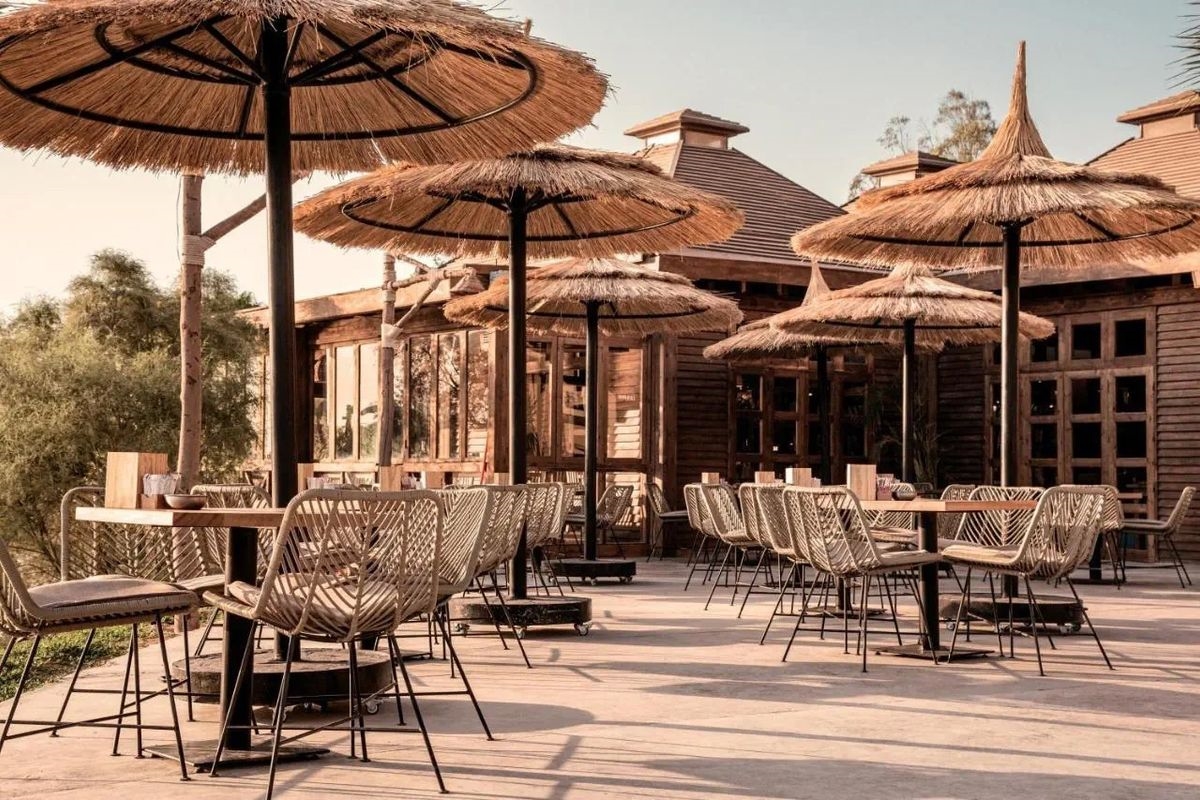 COOK'S CLUB EL GOUNA (ADULTS ONLY) 5