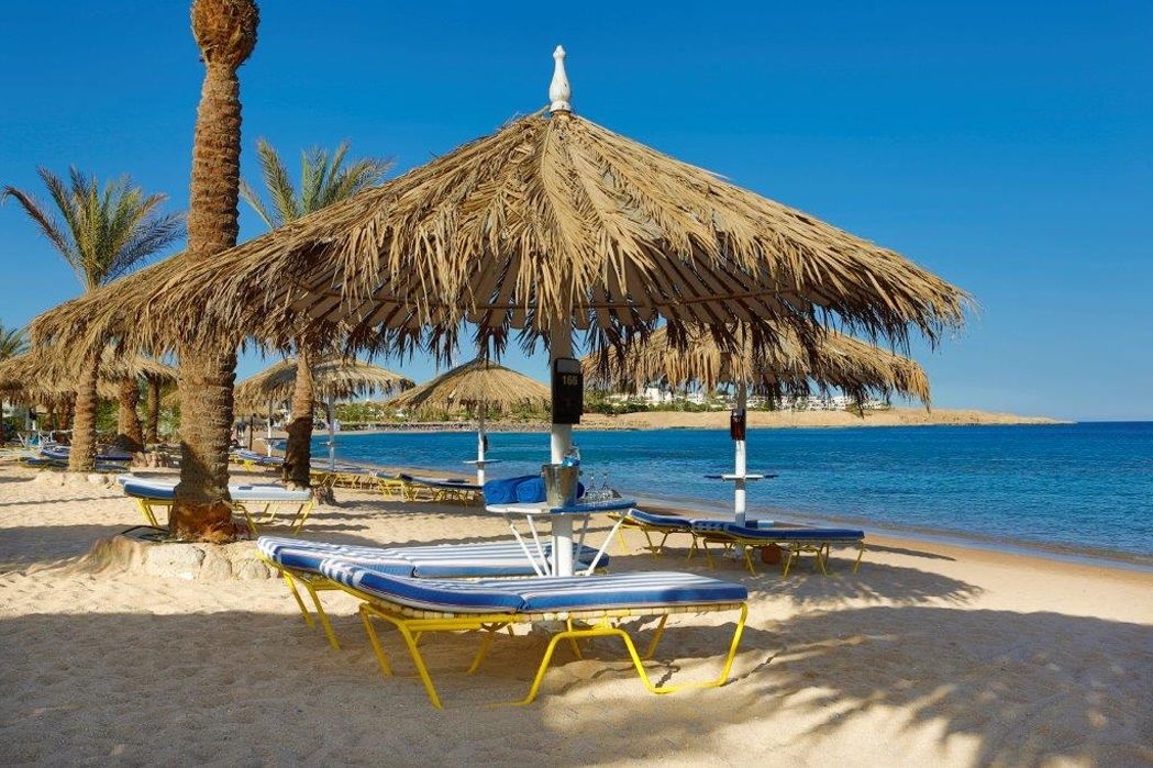 JAZ Sharm Dreams 3