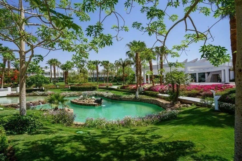 Monte Carlo Sharm El Sheikh Resort 3