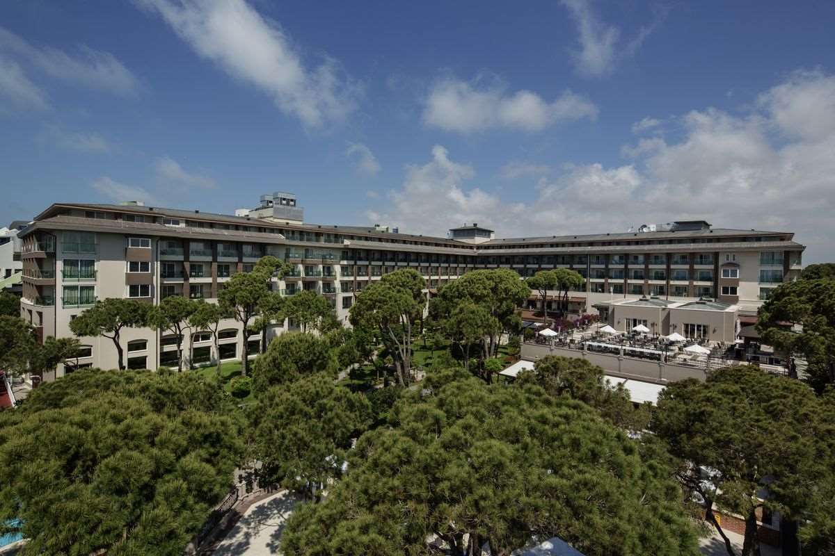 Pokaż wszystkie zdjęcia