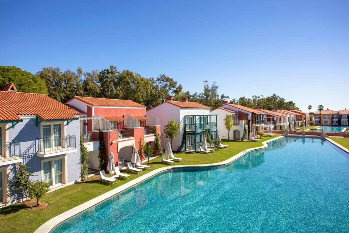 Pokaż wszystkie zdjęcia