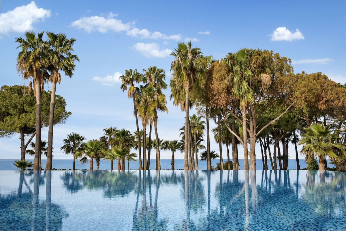 Acanthus Cennet Barut Collection 4